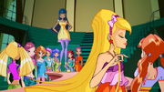 StellaShow
