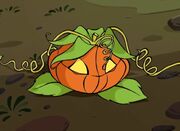 ~Mirta As A Pumpkin~