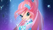 Winx-7x14-4