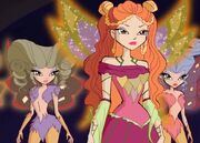 Sibylla & Rustic fairies