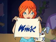 Winx Symbol