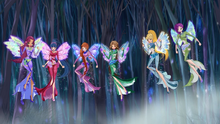 Winx Onyrix 02