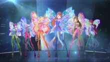 Dreamix 01.jpg