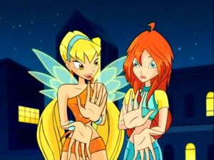 WinX-1x01-262