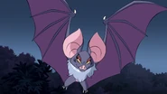 Fledermaus