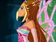 WinX-3x17-166