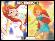 Winx funny picxD