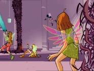 Амарил сзади.jpg (51 КБ) Крылья Амарил сзади