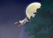 «Ведьма» пролетает над виллой