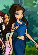 Эвфорбия с каштановыми волосами