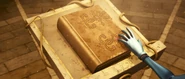 Книга судьбы