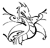 Дракон чб