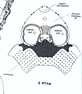 2 этаж, пристройка к северному крылу: бальные залы