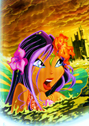 WinxBook6