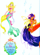 WinxBook33