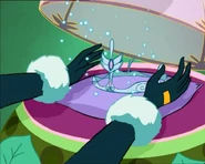 Корона Блум