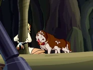 The dog.png (307 КБ) Собака