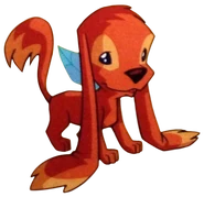 Песик пикси.png (144 КБ) Тру