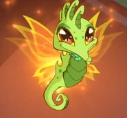 Хиппокампус