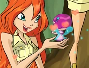 Первая встреча с Блум