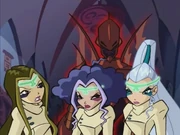 Новые союзники