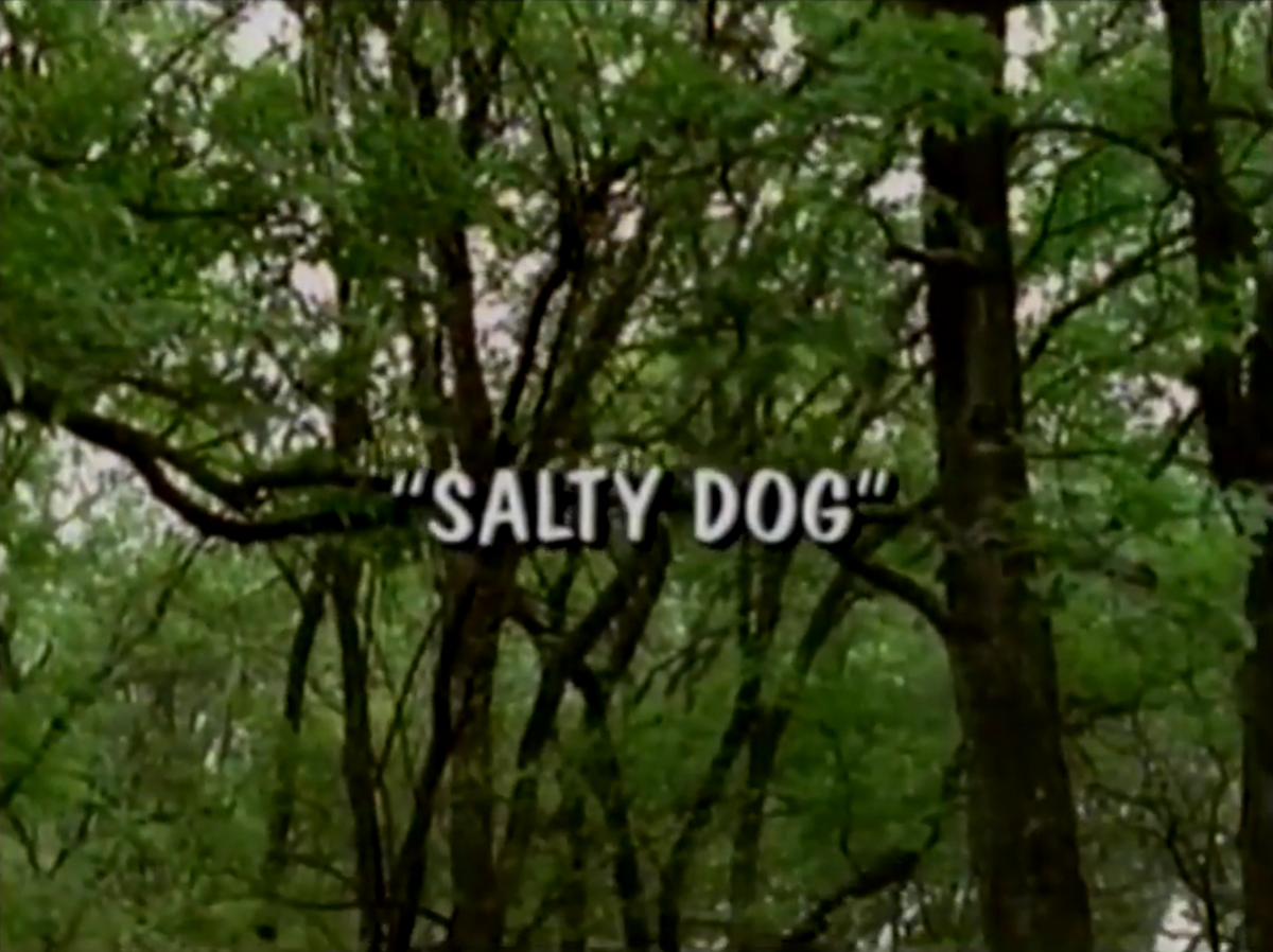 Salty Dog | Wishbone Wiki | Fandom