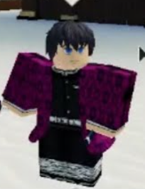 Haori Wisteria Roblox Wiki Fandom - giyuu hair roblox