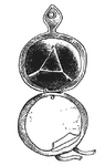A round, palm-sized notebook