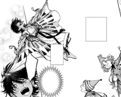 45 6 Winged Cloak