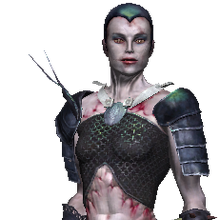 Rayla Witcher Wiki Fandom