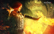 Tw2 art Triss casting spells