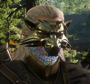 Tw3 wolf mask on geralt