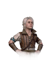 Tw3 journal ciri young