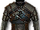 Kaer Morhen armor