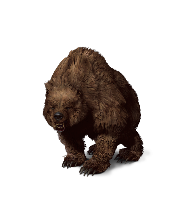 bear