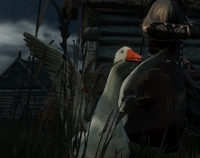 Tw3 goose