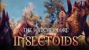 What are Insectoids? The Witcher 3 Lore - Insectoids