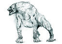 A sketch of the lykanthrope from which the werewolf was ultimately derived