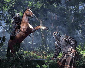 TW3-horsecombat