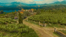 BaW belgaard vineyard