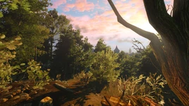 Prima Guide scoiatel trade place