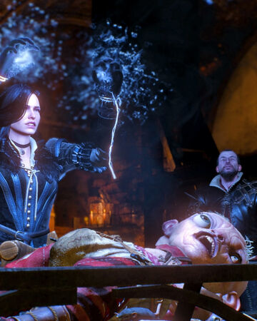 Va Fail Elaine Witcher Wiki Fandom The official twitter account for the witcher 3: va fail elaine witcher wiki fandom