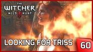 The Witcher 3 ► Pyres of Novigrad - Looking For Triss - Story and Gameplay 60 PC