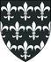 COA Temeria Cedric