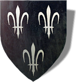 COA Temeria journal Tw2.png