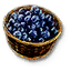 Tw3 blueberries