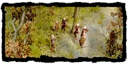 Geralt na czele zwiadowców Wiewiórek