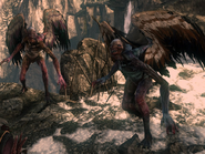 Harpies in The Witcher 2: Assassins of Kings.