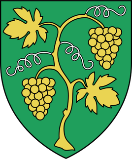 COA Toussaint grapevine