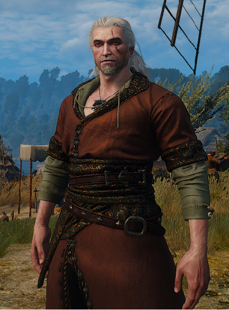 witcher 3 best light armor